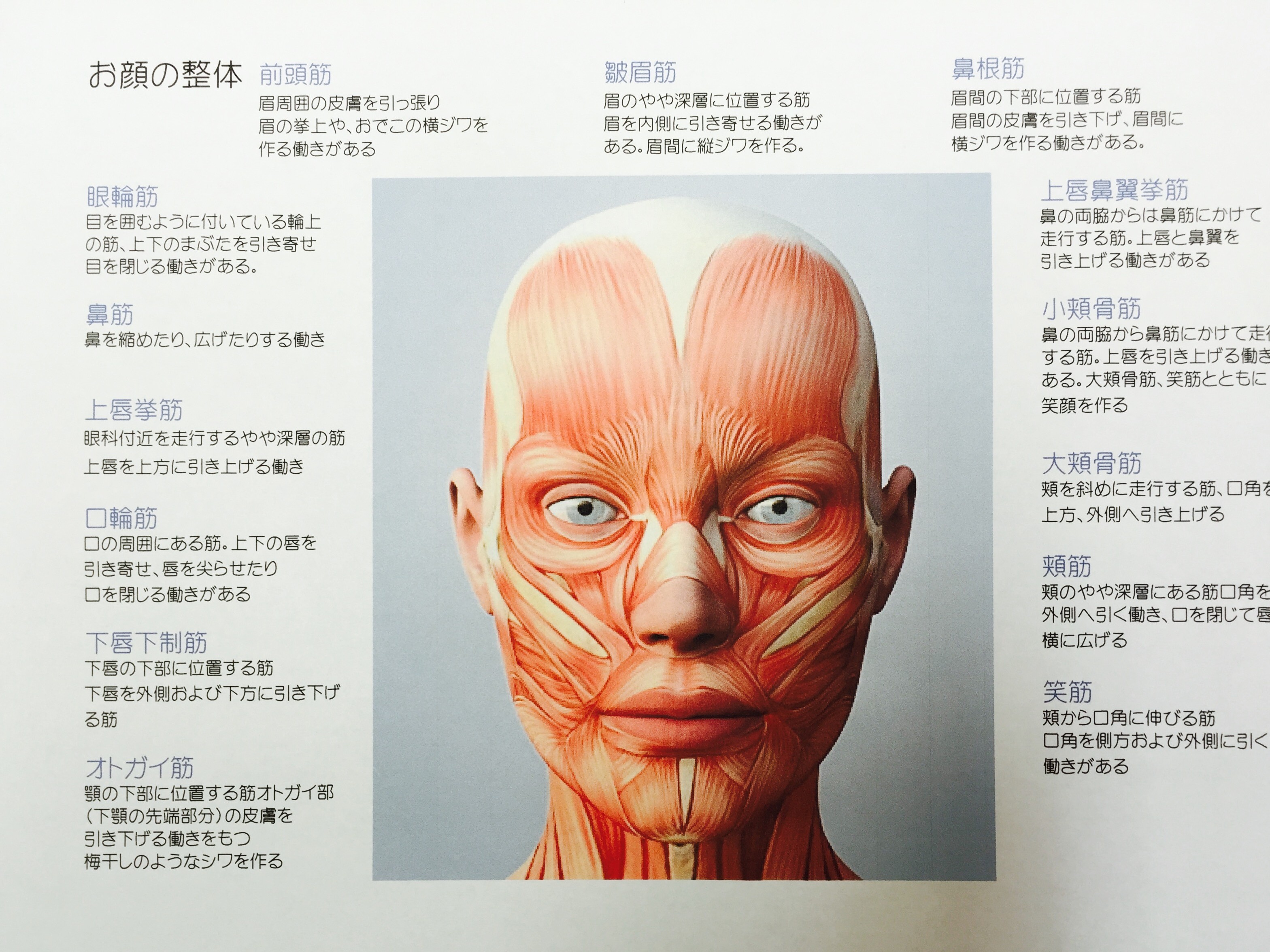 お顔の整体 ラディア ボディ 岡山県倉敷市のカイロプラクティック